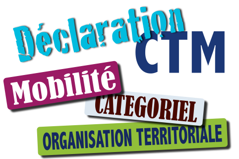 Declaration CTM 17 3
