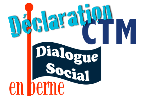 Declaration CTM 3 9