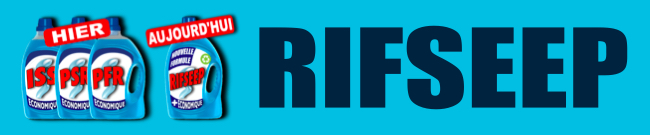 logo RIFSEEP