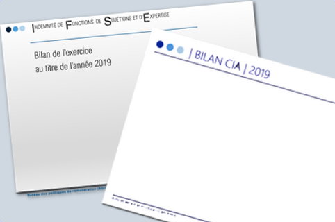 BILAN IFSE CIA 2019