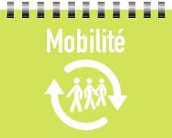 D2 mobilite